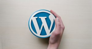 Scopri di più sull'articolo Panoramica sulle funzioni di WordPress